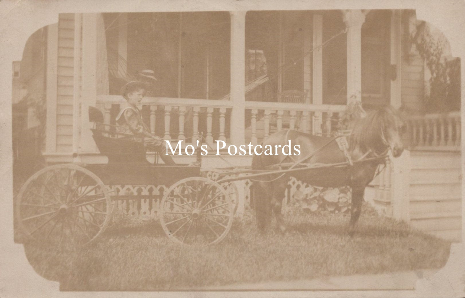 America Postcard - Horse and Buggy, Binghamton, New York Photo SW19122