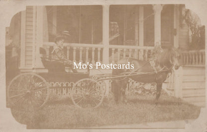 America Postcard - Horse and Buggy, Binghamton, New York Photo SW19122