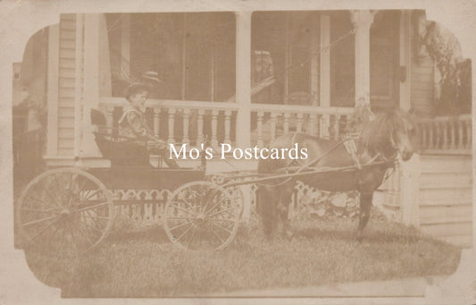 America Postcard - Horse and Buggy, Binghamton, New York Photo SW19122