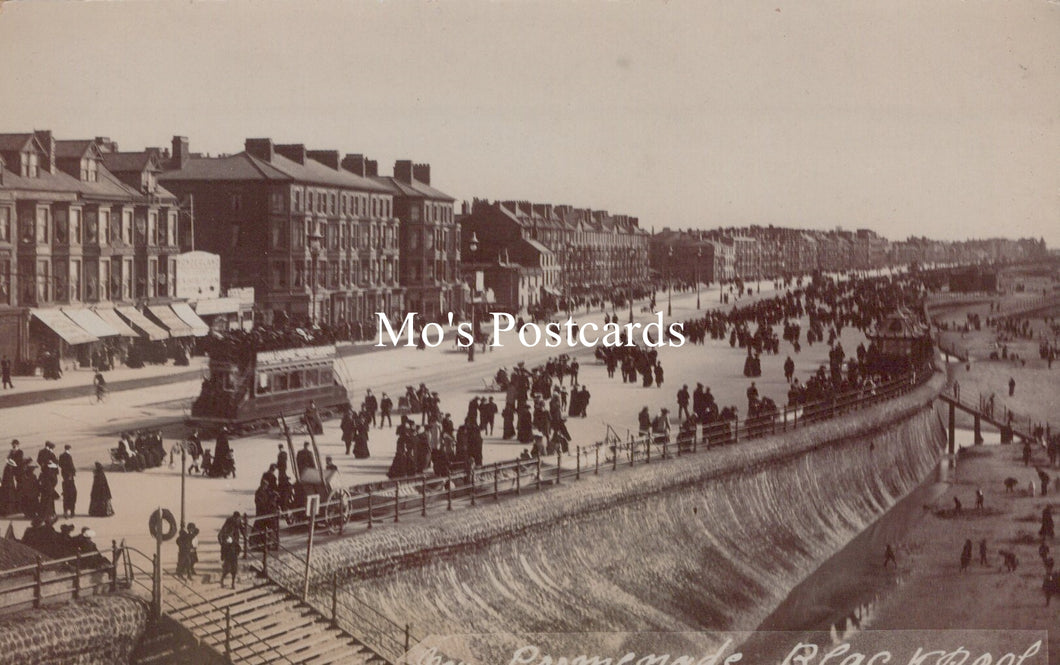 Lancashire Postcard - New Promenade, Blackpool  SW19128