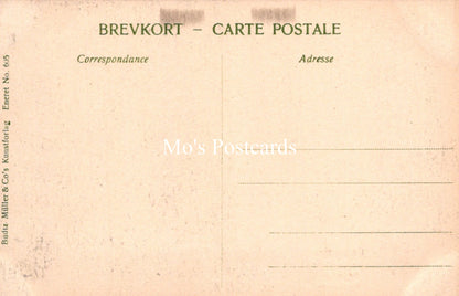 Denmark Postcard - Copenhagen, Ny Carlsberg Glyptotek SW19141