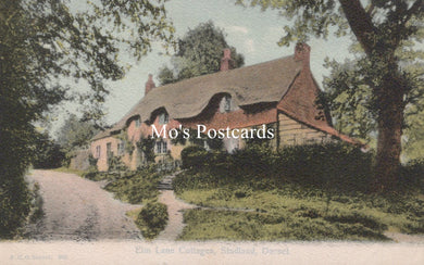 Dorset Postcard - Elm Lane Cottages, Studland  SW19146