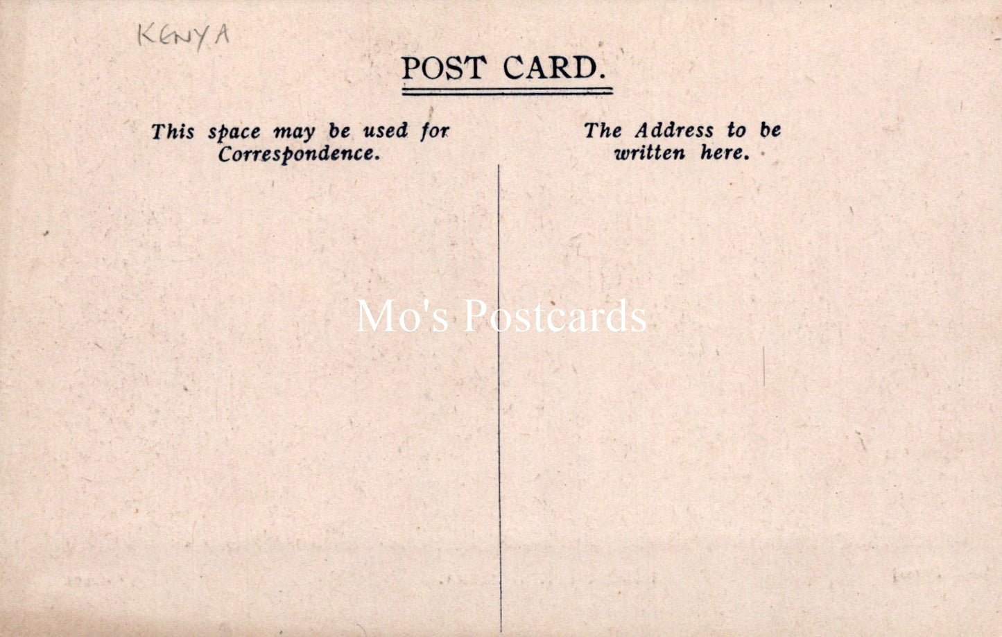Animals Postcard - Domesticating Zebra, Nairobi  SW19182