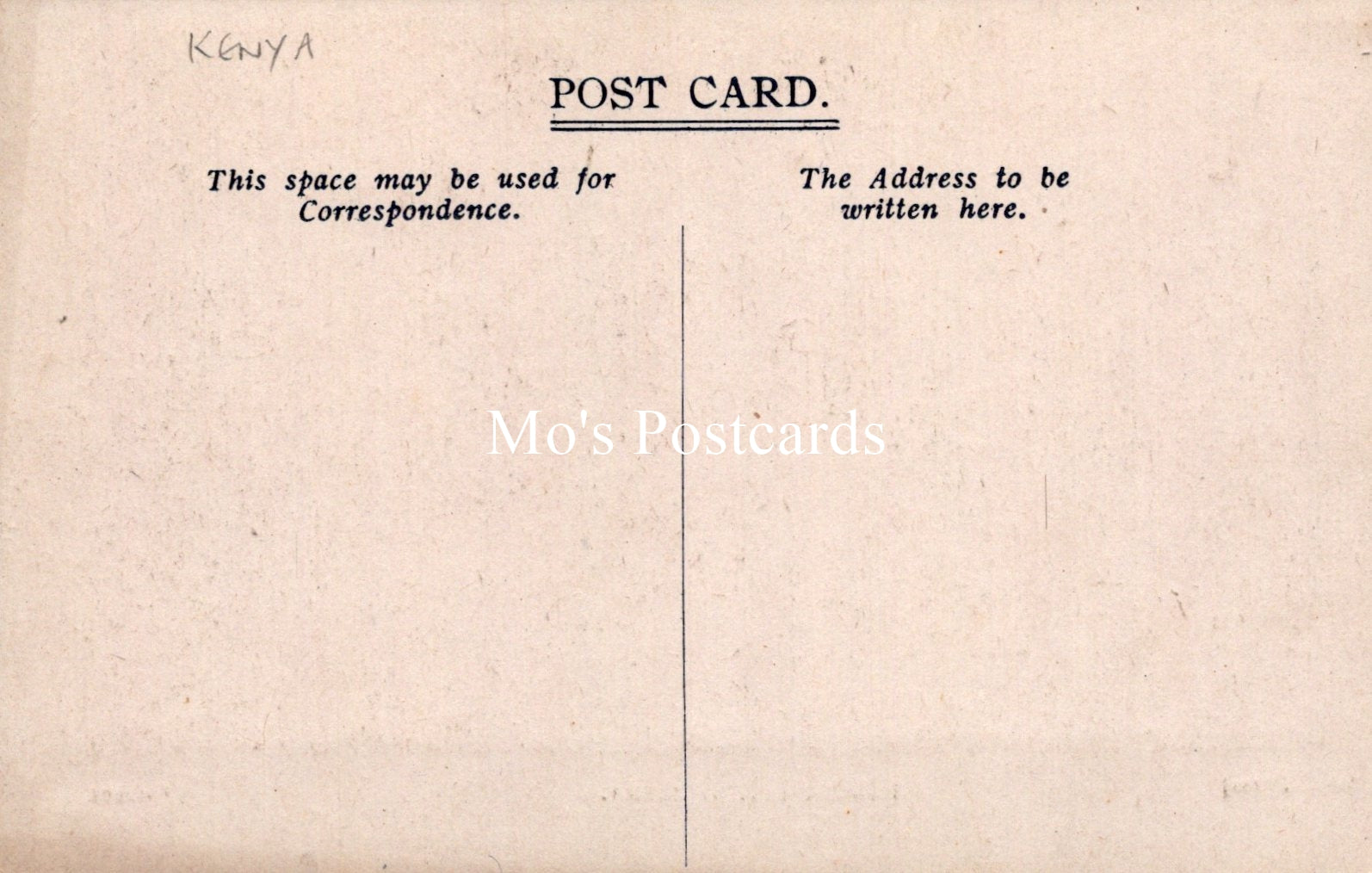 Animals Postcard - Domesticating Zebra, Nairobi  SW19182