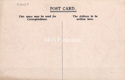 Animals Postcard - Domesticating Zebra, Nairobi  SW19182