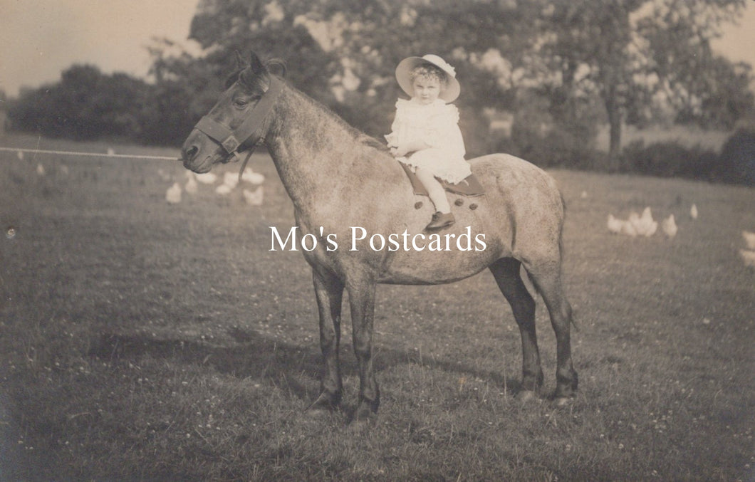 Vintage photo of a child riding a horse in an open field with 'Mo's Postcards' watermark.