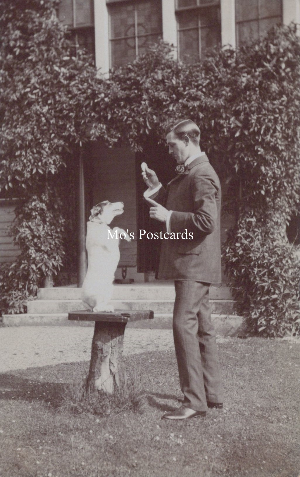 Vintage black and white photo of a man and dog in a garden setting 