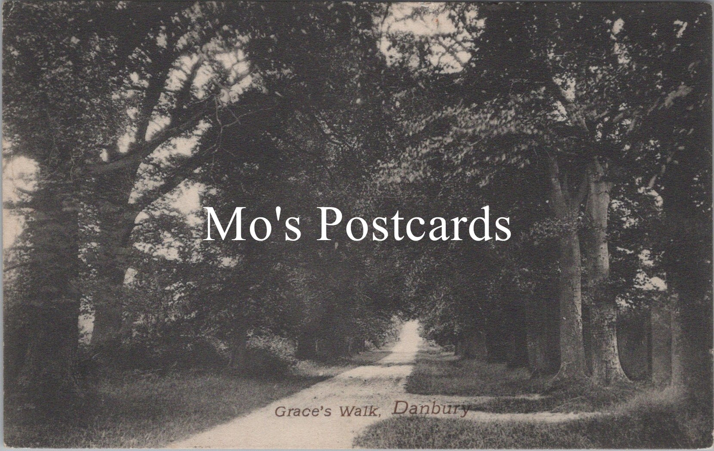 Essex Postcard - Grace's Walk, Danbury   SW17211