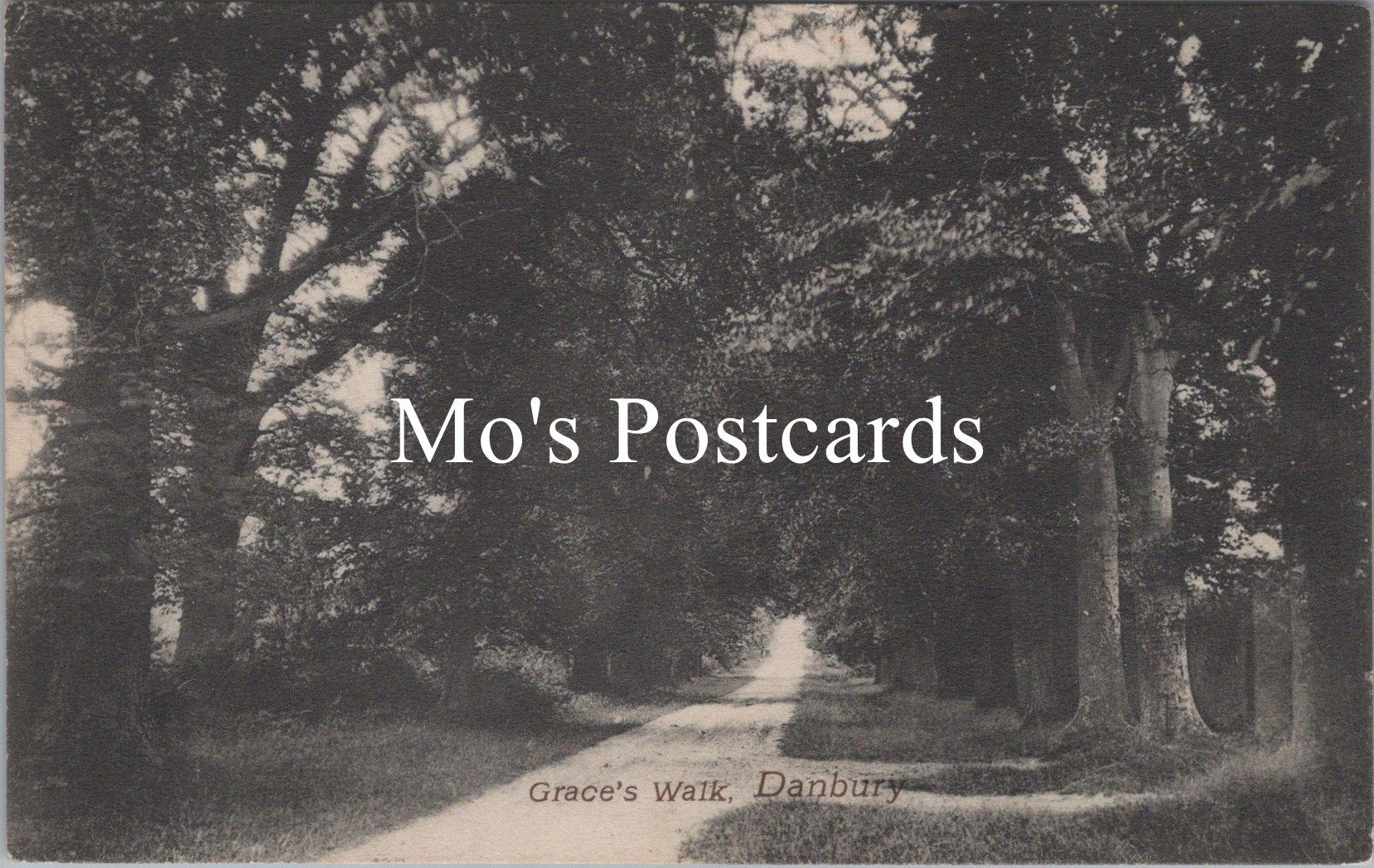Essex Postcard - Grace's Walk, Danbury   SW17211