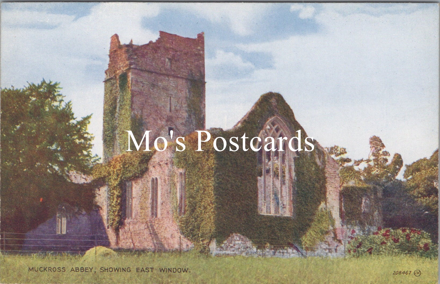 Ireland Postcard - Muckross Abbey, Showing East Window  SW17229