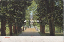Load image into Gallery viewer, Cambridgeshire Postcard - Cambridge, Trinity Avenue  SW17806
