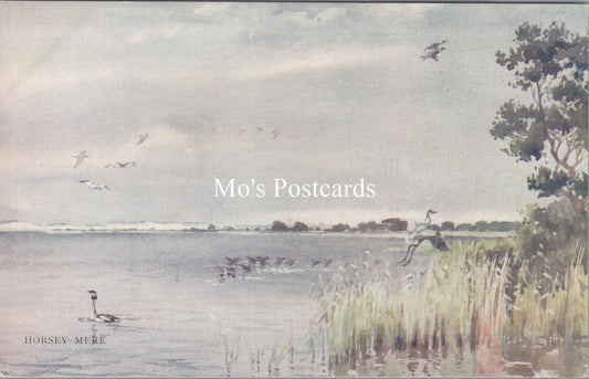 Norfolk Postcard - Birds on Horsey Mere, Norfolk Broads  SW17810