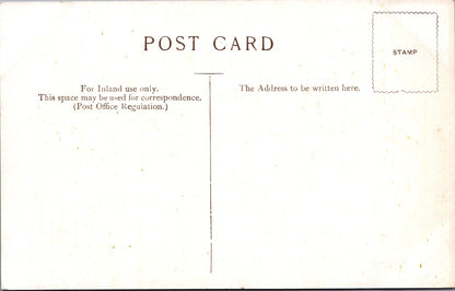 Norfolk Postcard - Birds on Horsey Mere, Norfolk Broads  SW17810