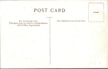 Load image into Gallery viewer, Norfolk Postcard - Birds on Horsey Mere, Norfolk Broads  SW17810
