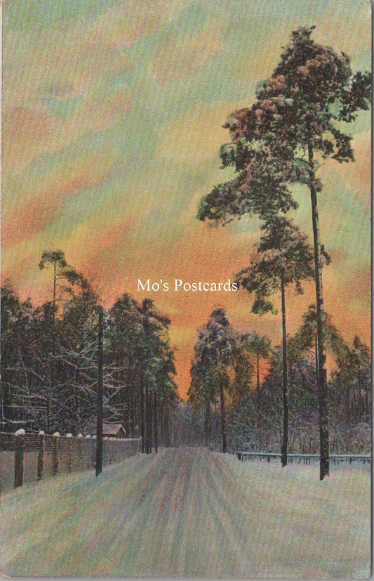 Nature Postcard - Trees Lining a Straight Road   SW17815