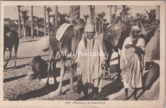 Animals Postcard - Camels, Chameaux Et Chameliers  SW17850