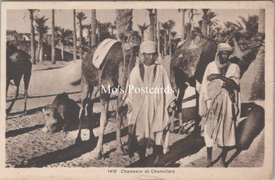 Animals Postcard - Camels, Chameaux Et Chameliers  SW17850