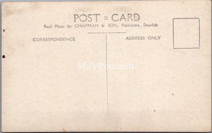 Animals Postcard - Five Dartmoor Ponies   SW17851