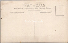 Load image into Gallery viewer, Animals Postcard - Five Dartmoor Ponies   SW17851
