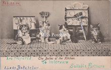 Load image into Gallery viewer, Animals Postcard - Cats, The Belles of The Kitchen  SW17889

