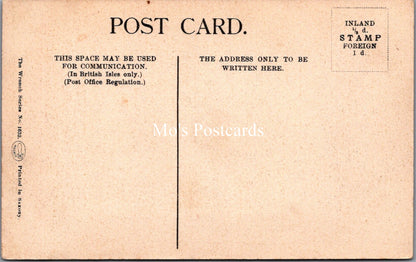 Animals Postcard - Cats, The Belles of The Kitchen  SW17889