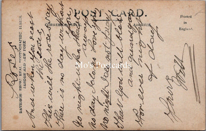 Xmas Greetings Postcard - Sincere Good Wishes For Christmas SW18018