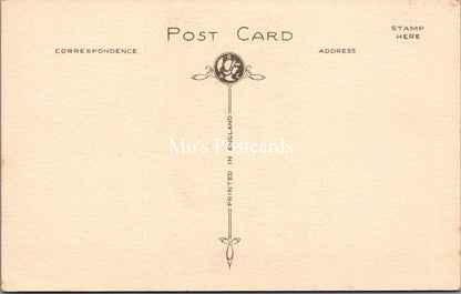 Shropshire Postcard - Shrewsbury, Butcher Row  SW18303