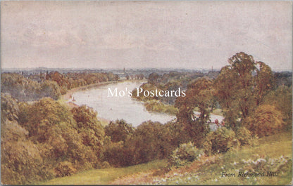 Surrey Postcard - From Richmond Hill  SW18314