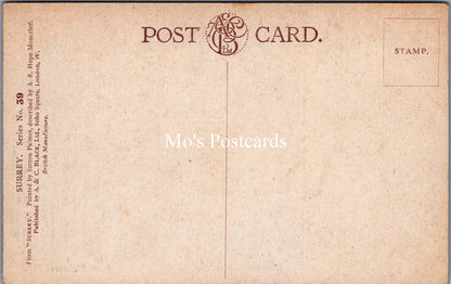 Surrey Postcard - From Richmond Hill  SW18314