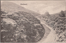 Load image into Gallery viewer, Surrey Postcard - Hindhead Heathland  SW16988
