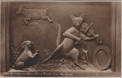 Hampshire Postcard - Carving Over Door, Cat & Fiddle Inn, New Forest  SW16989