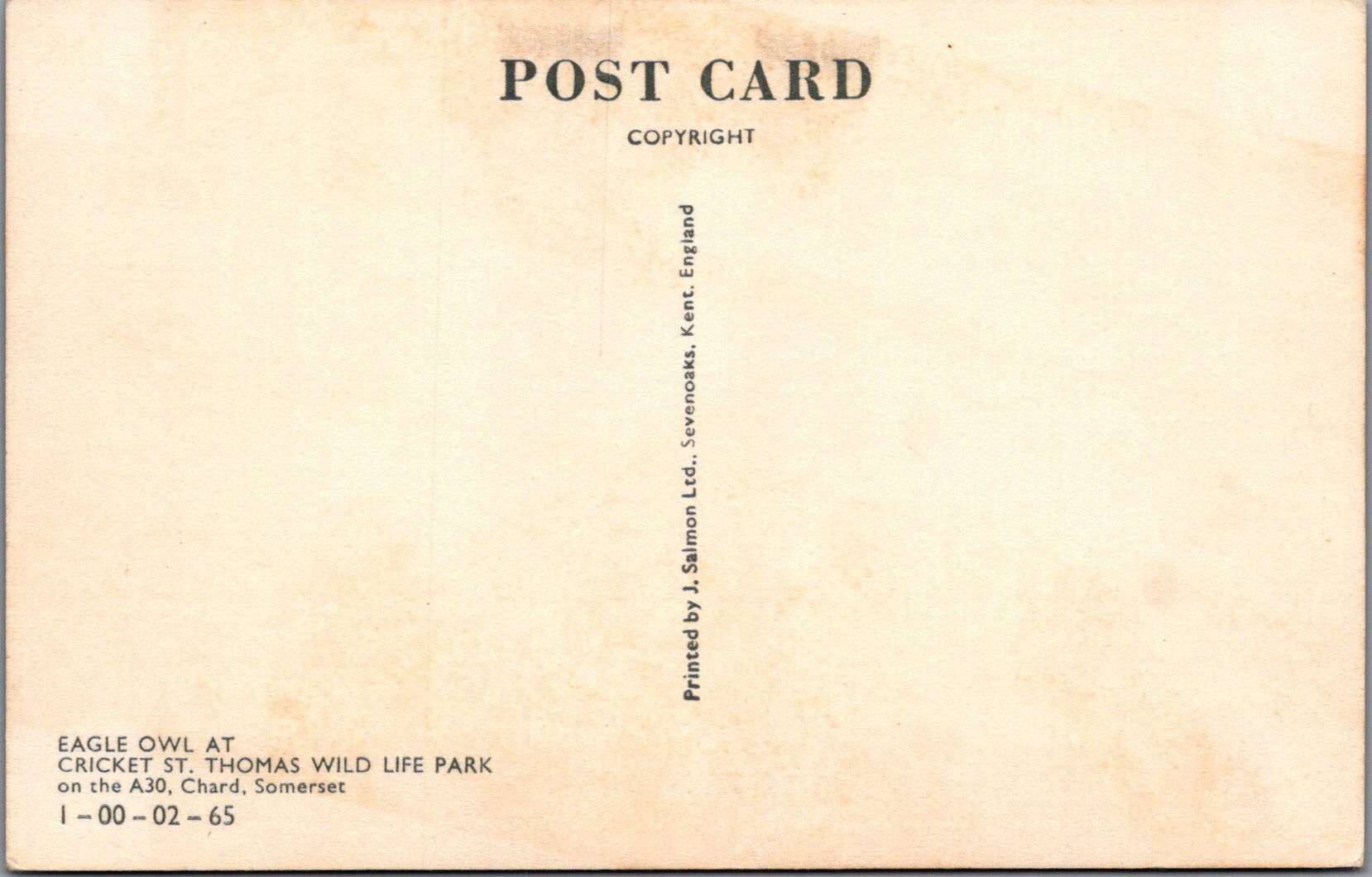Animals Postcard - Birds, Eagle Owl, Cricket St Thomas Wildlife Park SW17005