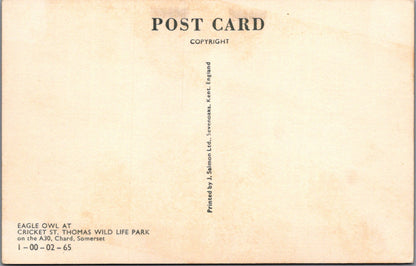 Animals Postcard - Birds, Eagle Owl, Cricket St Thomas Wildlife Park SW17005
