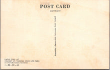 Load image into Gallery viewer, Animals Postcard - Birds, Eagle Owl, Cricket St Thomas Wildlife Park SW17005
