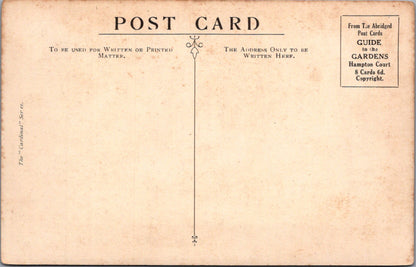 Middlesex Postcard - Hampton Court Palace, The Great Vine  SW17053