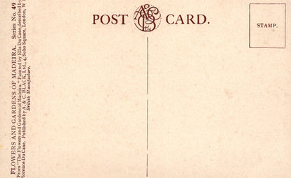 Vintage postcard with text and a stamp area on a beige background