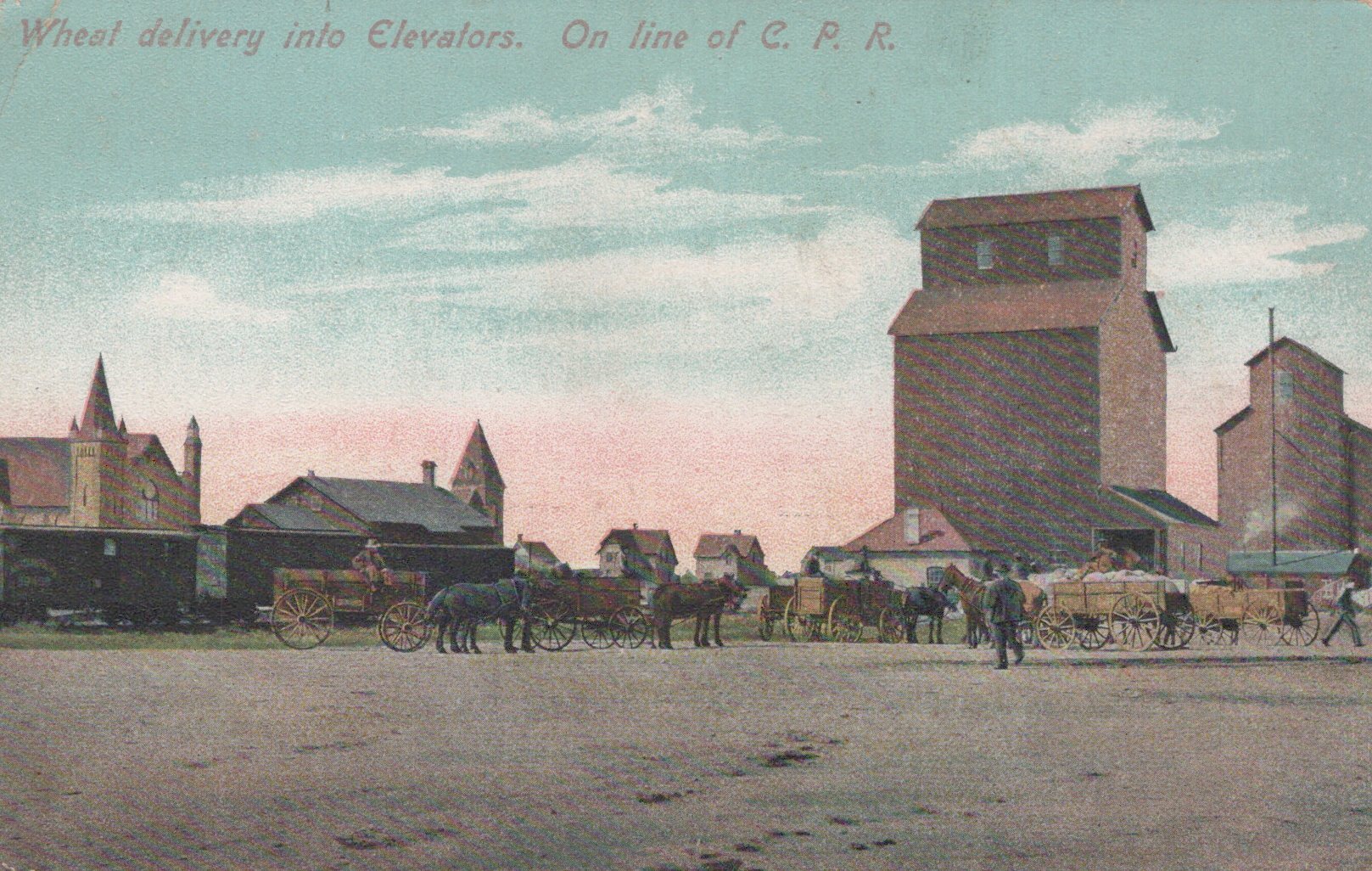 Vintage postcard of wheat delivery into elevators on the C.P.R. line with horses and wagons.