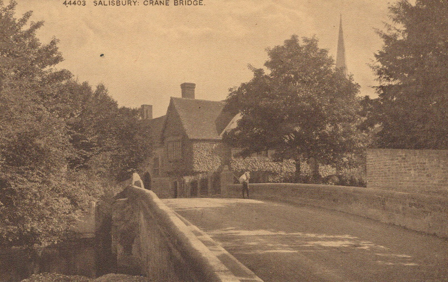 Vintage photograph of a bridge in Salisbury with trees and a building in the background