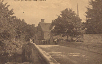 Vintage photograph of a bridge in Salisbury with trees and a building in the background
