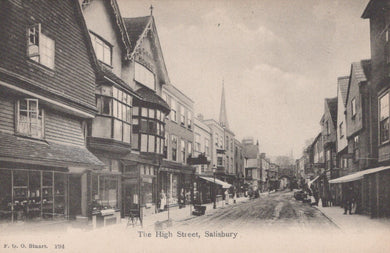 Wiltshire Postcard - The High Street, Salisbury   SW20647