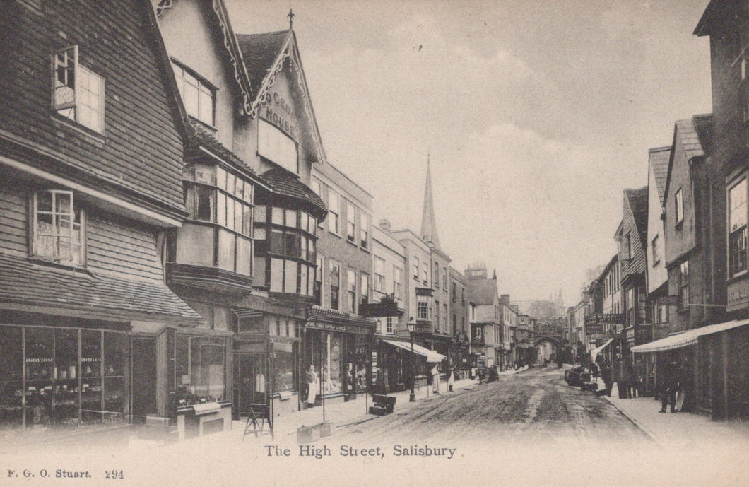 Wiltshire Postcard - The High Street, Salisbury   SW20647