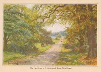 Hampshire Postcard - The Lyndhurst To Bournemouth Road  SW19000