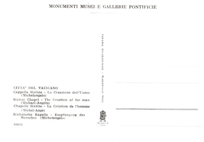 Vatican City Postcard - Sixtine Chapel, The Creation of The Man  SW19020