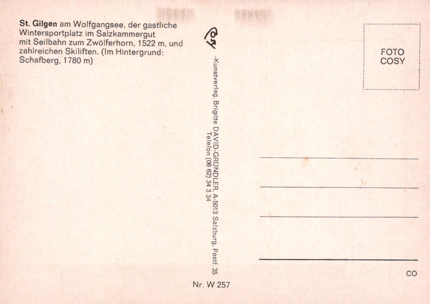 Austria Postcard - St Gilgen Am Wolfgangsee   SW19043