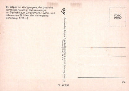 Austria Postcard - St Gilgen Am Wolfgangsee   SW19043