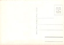 Load image into Gallery viewer, Austria Postcard - Hotel Lowen, Feldkirch  SW19048
