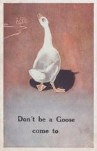 Load image into Gallery viewer, Vintage-style illustration of a goose with text &#39;Don&#39;t be a Goose come to&#39; on a gradient background.

