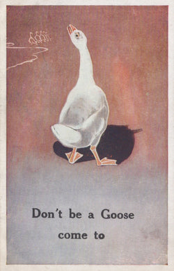 Vintage-style illustration of a goose with text 'Don't be a Goose come to' on a gradient background.