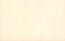 Load image into Gallery viewer, Solid light beige color swatch
