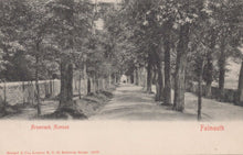Load image into Gallery viewer, Vintage black and white photo of a tree-lined avenue in Falmouth

